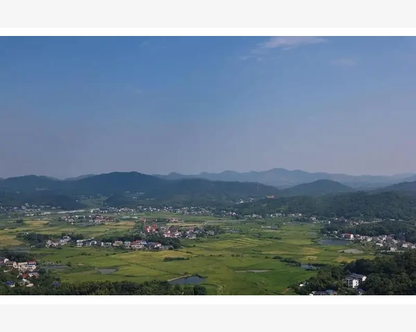法人理财业务会计处理全流程操作要点